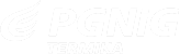 PGNiG